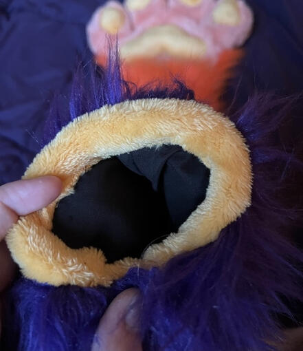 Paw detail